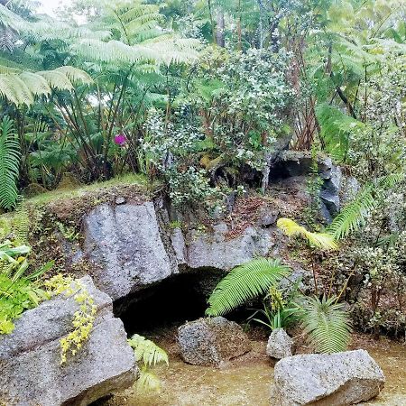 'Ama'U Lani Cottage Volcano Zewnętrze zdjęcie