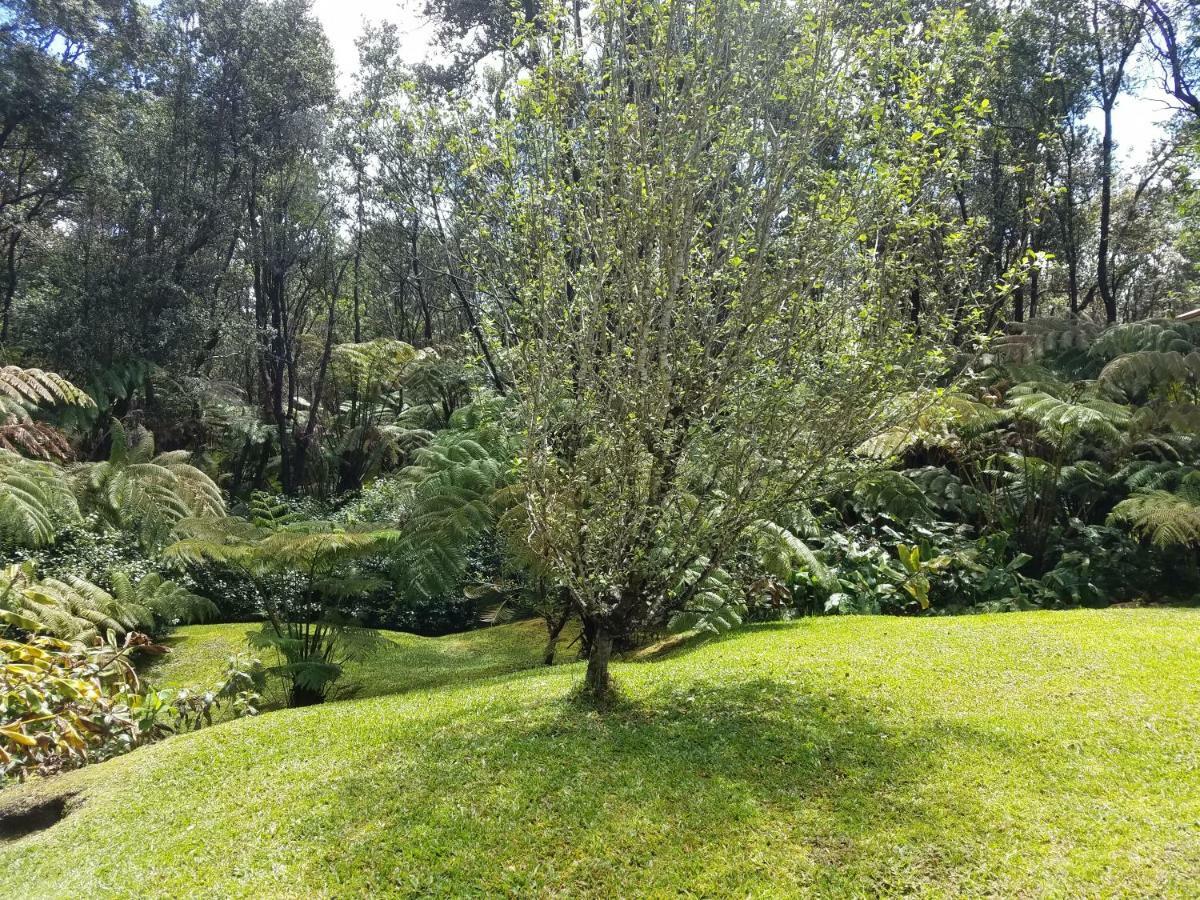 'Ama'U Lani Cottage Volcano Zewnętrze zdjęcie
