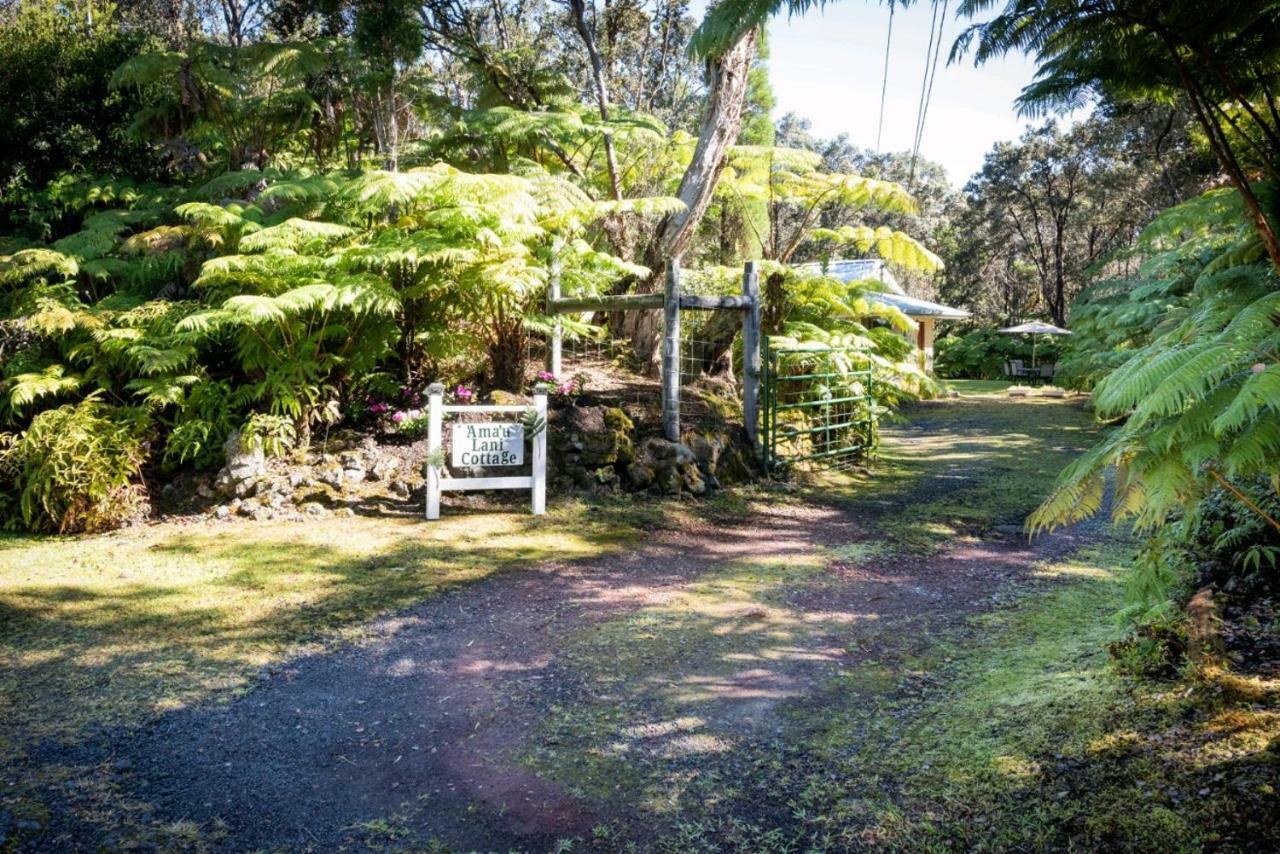 'Ama'U Lani Cottage Volcano Zewnętrze zdjęcie