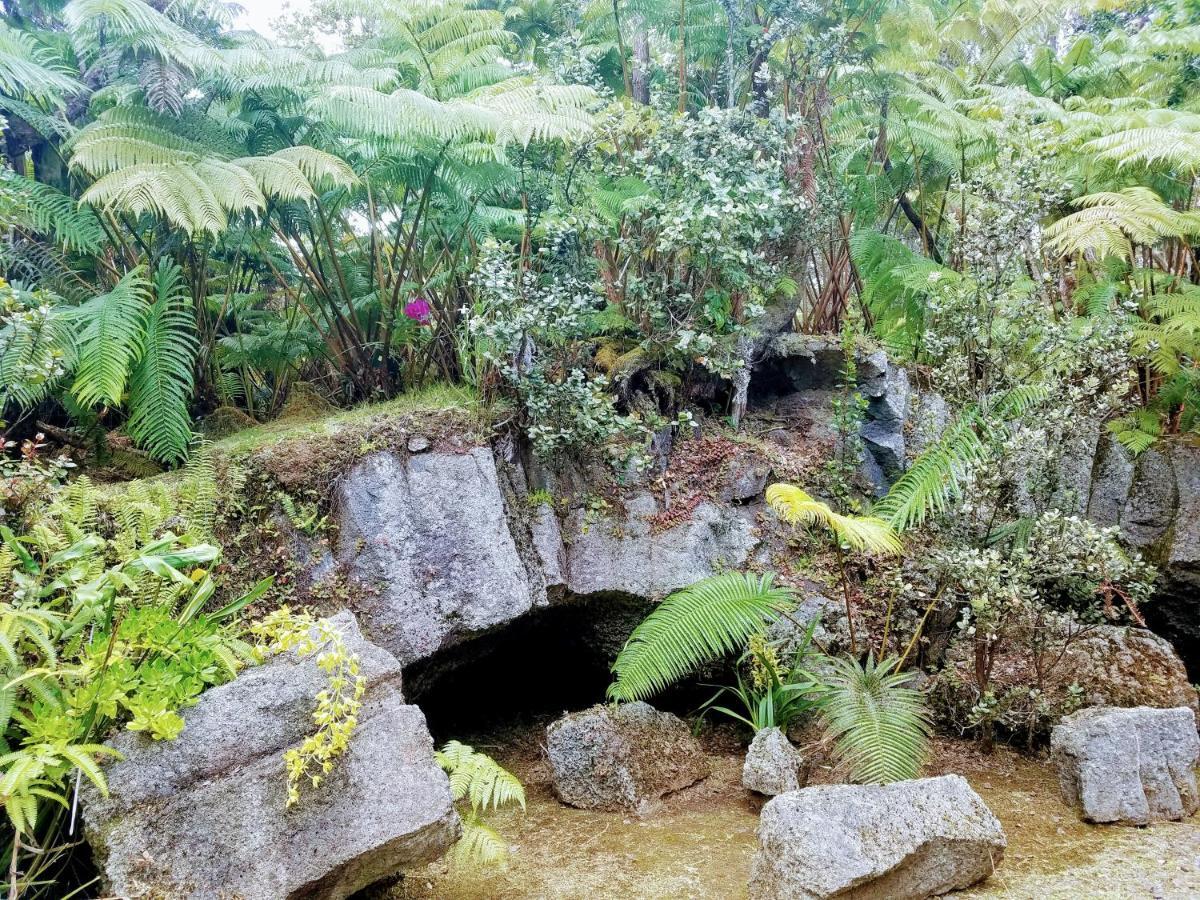 'Ama'U Lani Cottage Volcano Zewnętrze zdjęcie