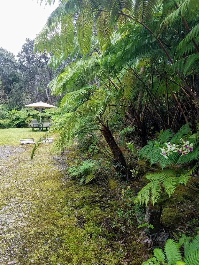 'Ama'U Lani Cottage Volcano Zewnętrze zdjęcie